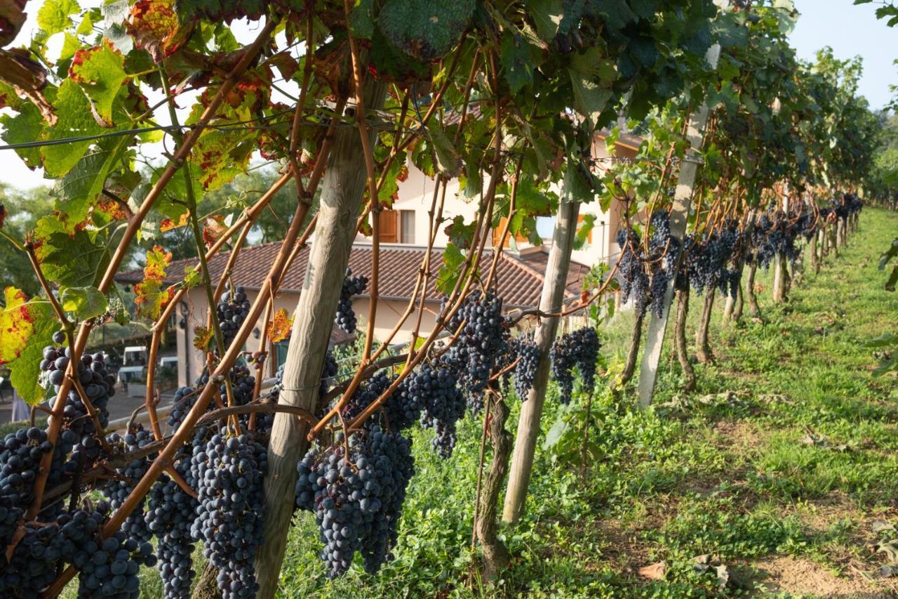 Bed and Breakfast Al-Colle Sotto il Monte Exterior foto
