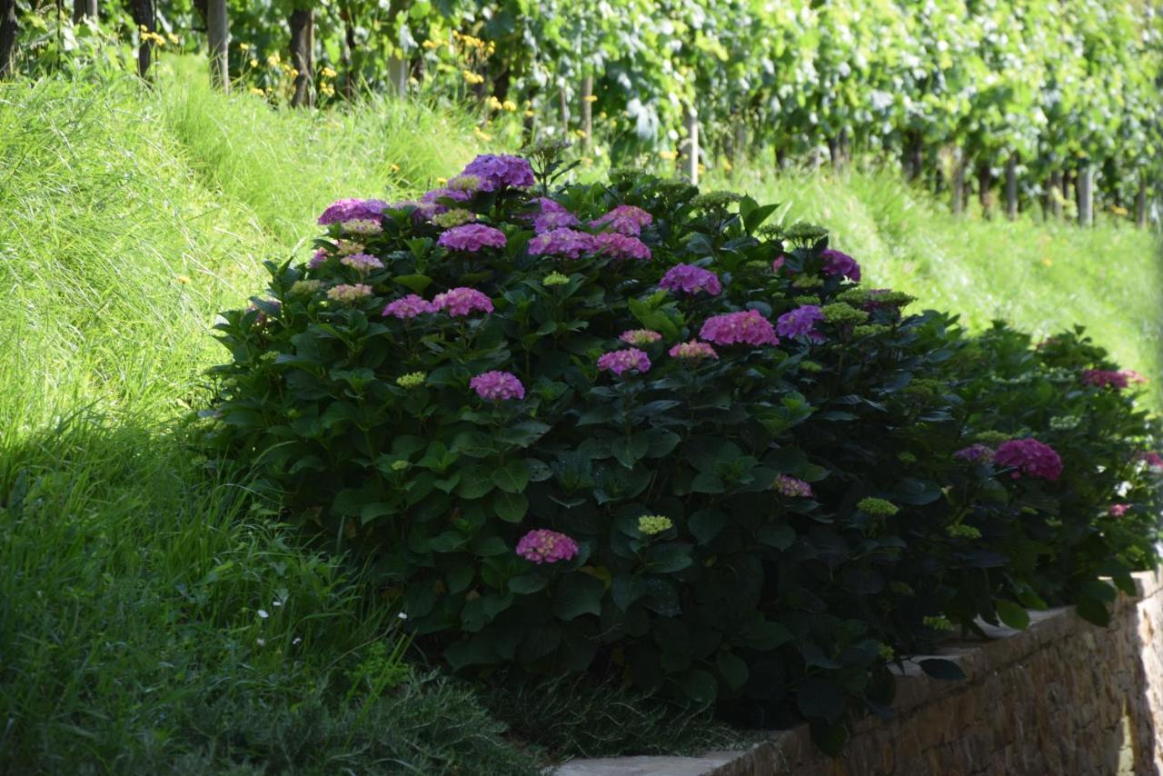 Bed and Breakfast Al-Colle Sotto il Monte Exterior foto
